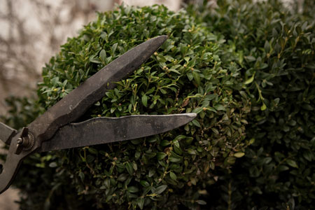 Laubentsorgung auf Rasen-, Beet- und Wegflächen