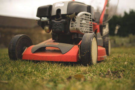 Laubentsorgung auf Rasenmähen, Beet- und Wegflächen